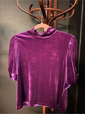 Anthropologie Sanctuary Velvet Mock Neck Top in Deep Purple